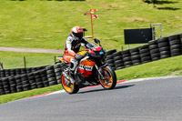 Middle Group Orange Bikes